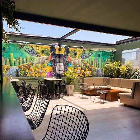 Black Llama Hostel Miraflores ليما المظهر الخارجي الصورة