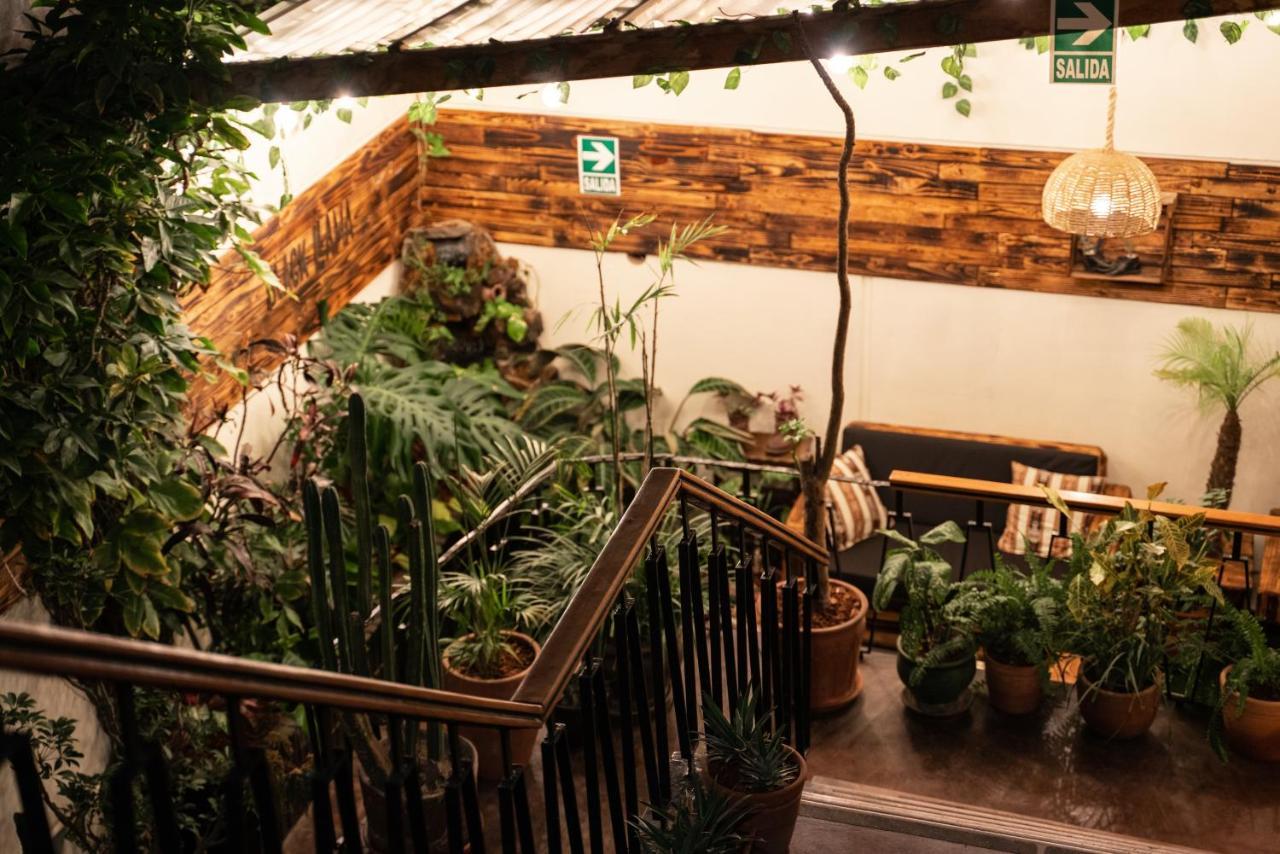 Black Llama Hostel Miraflores ليما المظهر الخارجي الصورة