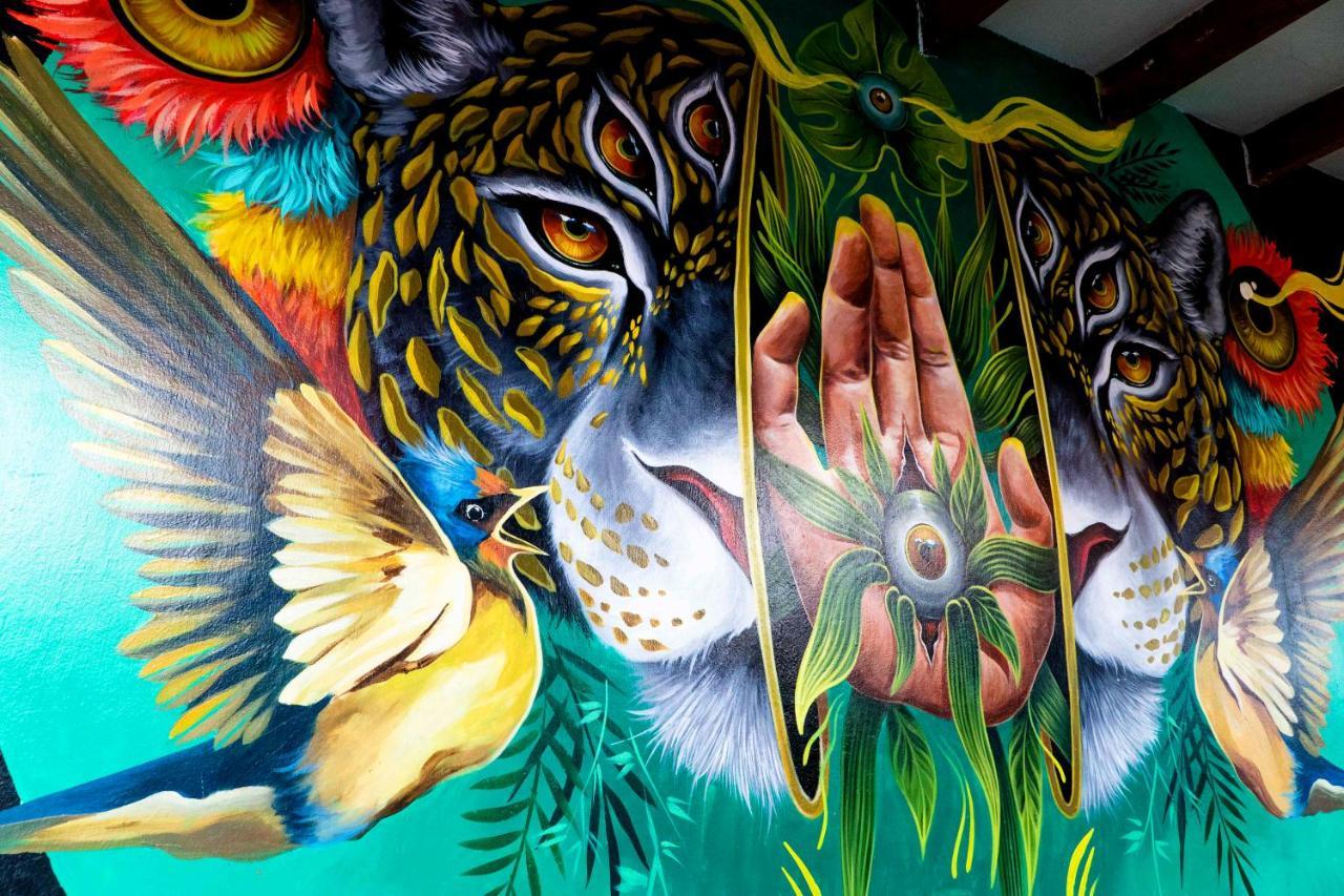 Black Llama Hostel Miraflores ليما المظهر الخارجي الصورة