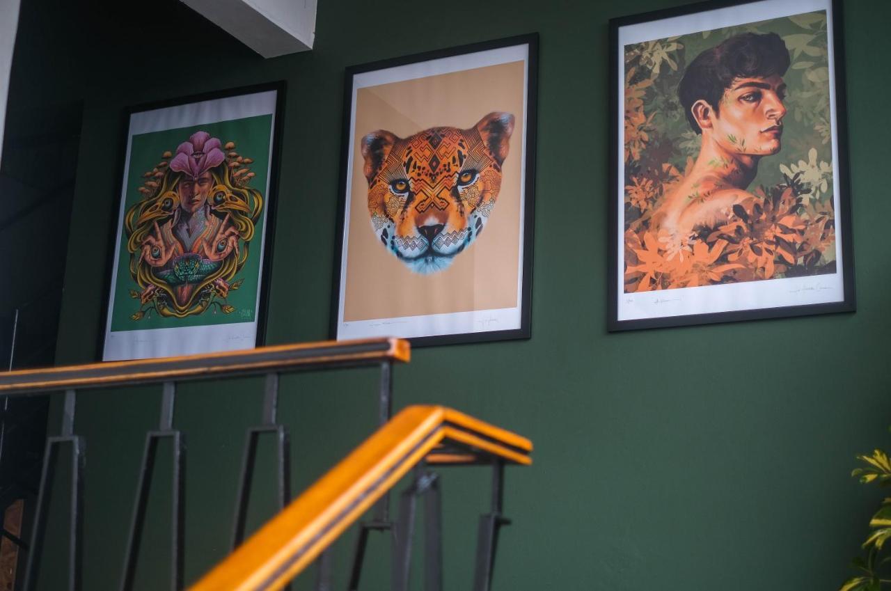 Black Llama Hostel Miraflores ليما المظهر الخارجي الصورة