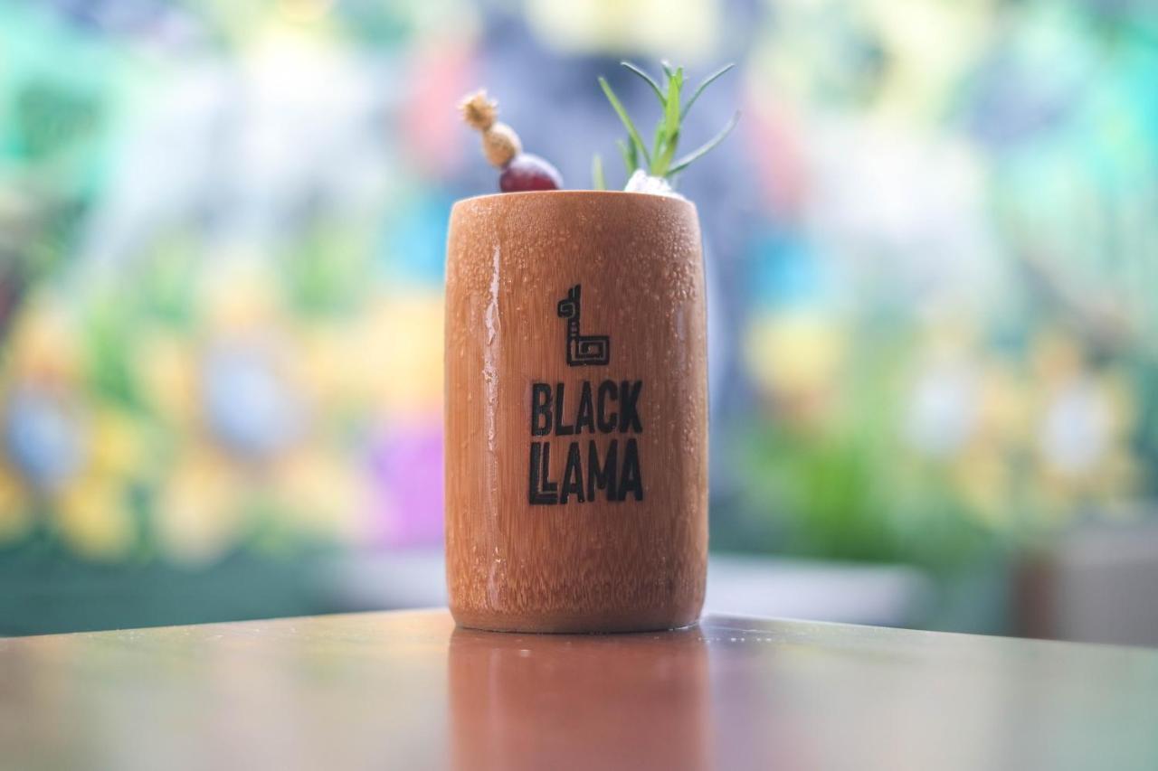 Black Llama Hostel Miraflores ليما المظهر الخارجي الصورة