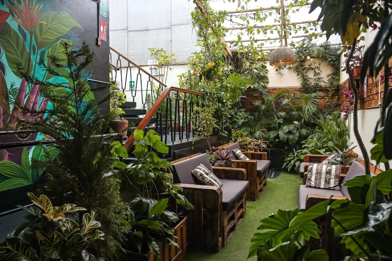 Black Llama Hostel Miraflores ليما المظهر الخارجي الصورة