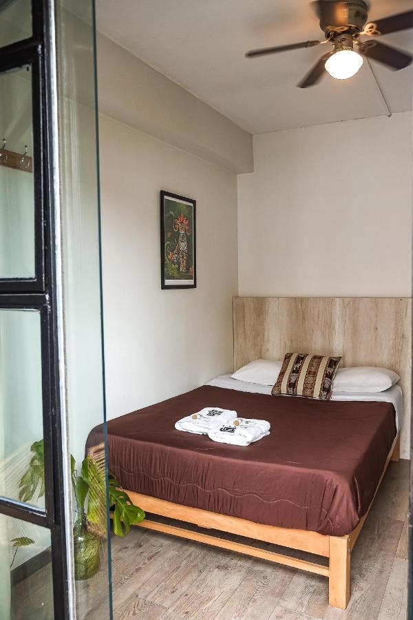 Black Llama Hostel Miraflores ليما المظهر الخارجي الصورة