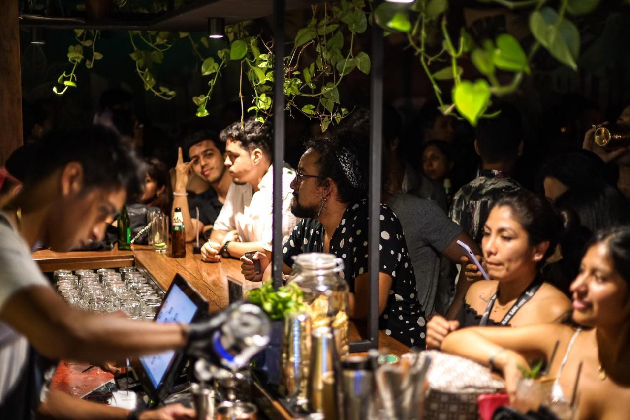Black Llama Hostel Miraflores ليما المظهر الخارجي الصورة