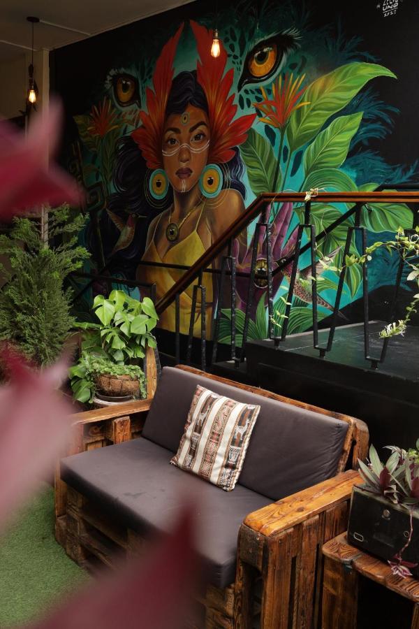 Black Llama Hostel Miraflores ليما المظهر الخارجي الصورة